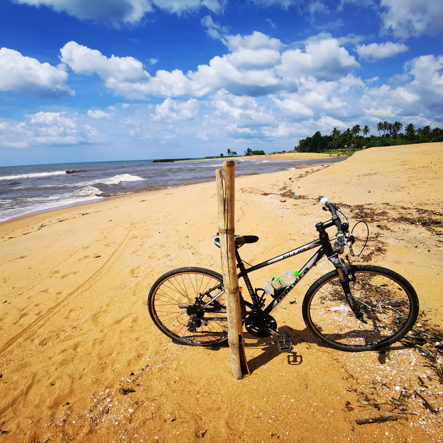 Mit dem Velo durch Sri-Lankas Natur und Kultur